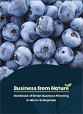Cover image of Business from Nature. Blueberries on the cover.