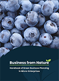 Business from Nature -julkaisun kansikuva. Kannessa mustikoita. Kolmessa ensimmäisessä julkaisussa on kansikuvat näkyvillä.