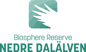Biosphere Reserve Nedre Dala╠êlven Sta╠èende Logo.